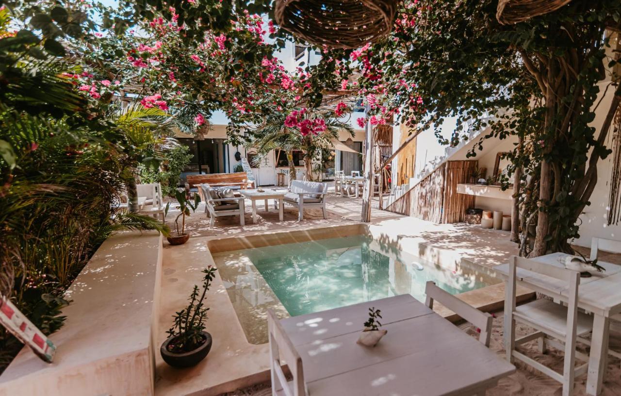 Lunarena Barefoot Hotel 埃尔库约 外观 照片